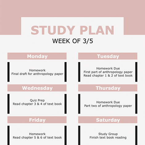 Study Plan