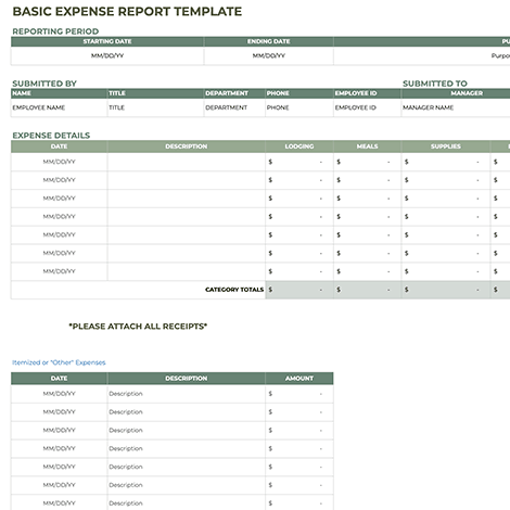 Itemized Expense Report